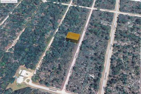 Land in Lake Placid, Florida № 2160802 - photo 4