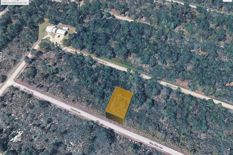 Land in Lake Placid, Florida № 2160802 - photo 2