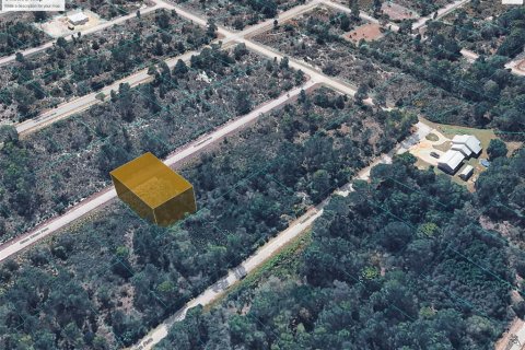 Land in Lake Placid, Florida № 2160802 - photo 3