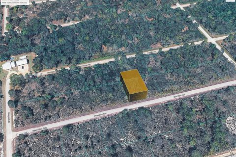Land in Lake Placid, Florida № 2160802