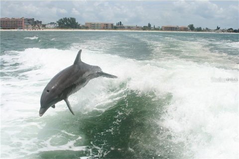 Condo in Clearwater, Florida, 1 bedroom  № 1520091 - photo 26