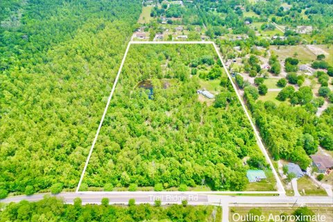 Land in Middleburg, Florida № 2218756 - photo 7