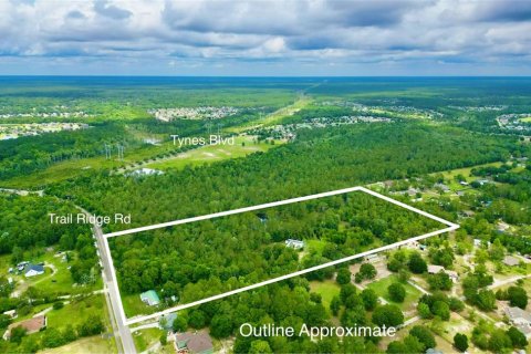 Land in Middleburg, Florida № 2218756 - photo 11