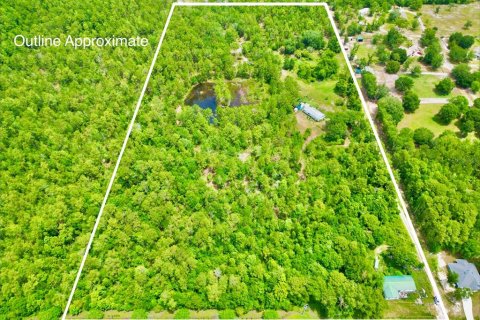 Land in Middleburg, Florida № 2218756 - photo 6
