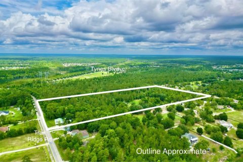 Land in Middleburg, Florida № 2218756 - photo 13