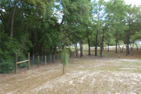 Terreno en venta en Dunnellon, Florida № 2212489 - foto 10