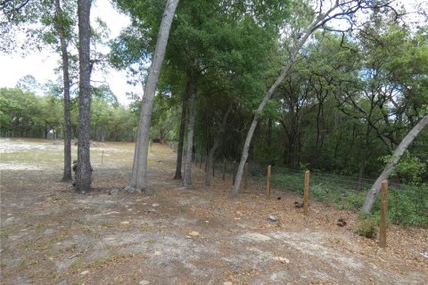 Terreno en venta en Dunnellon, Florida № 2212489 - foto 4