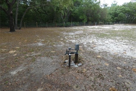 Terreno en venta en Dunnellon, Florida № 2212489 - foto 5