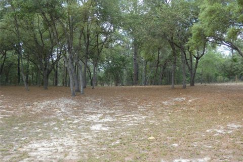 Terreno en venta en Dunnellon, Florida № 2212489 - foto 6