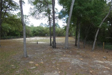 Terreno en venta en Dunnellon, Florida № 2212489 - foto 3