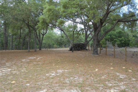 Terreno en venta en Dunnellon, Florida № 2212489 - foto 7