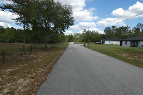 Terreno en venta en Dunnellon, Florida № 2212489 - foto 11