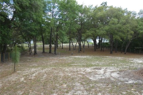 Terreno en venta en Dunnellon, Florida № 2212489 - foto 8