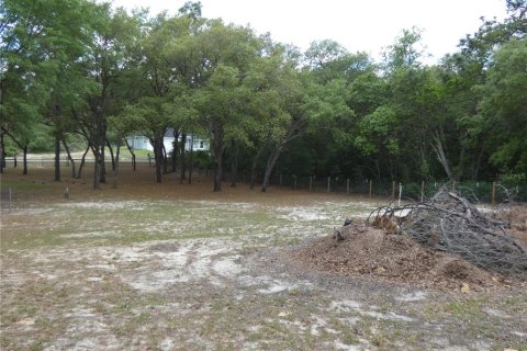 Terreno en venta en Dunnellon, Florida № 2212489 - foto 9