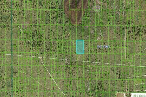 Land in Lake Wales, Florida № 2162268 - photo 3