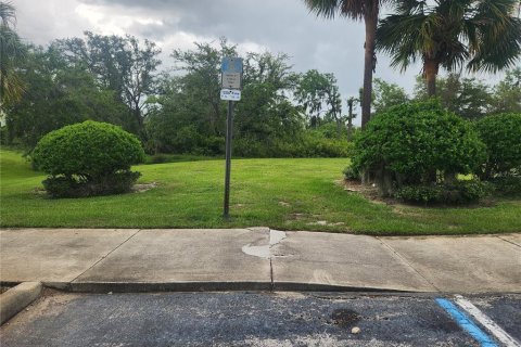 Terrain à vendre à Kissimmee, Floride № 1805676 - photo 5