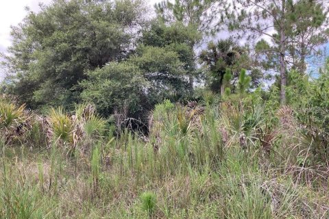 Land in Naples, Florida № 2204668 - photo 3