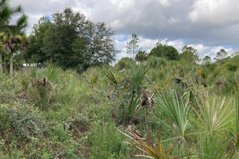 Land in Naples, Florida № 2204668 - photo 5