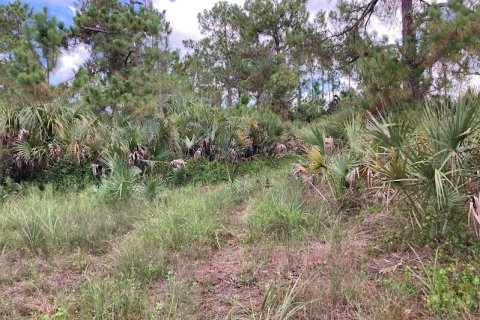 Land in Naples, Florida № 2204668 - photo 6