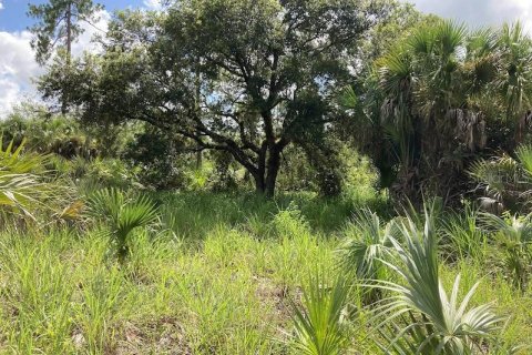 Land in Naples, Florida № 2204668