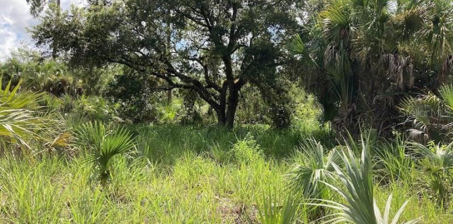 Land in Naples, Florida № 2204668
