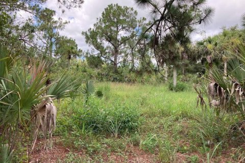 Land in Naples, Florida № 2204668 - photo 9