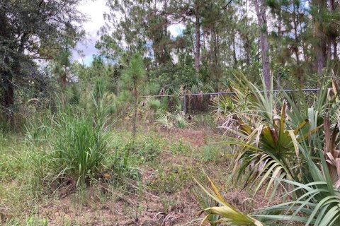 Land in Naples, Florida № 2204668 - photo 2