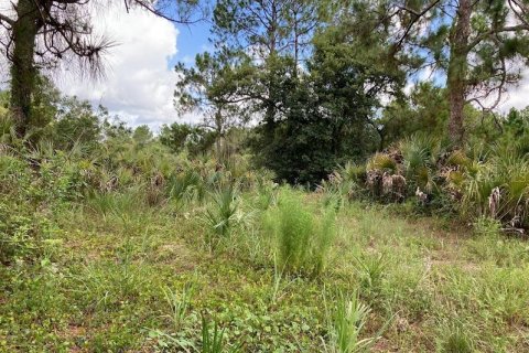 Land in Naples, Florida № 2204668 - photo 4