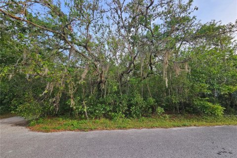 Land in New Port Richey, Florida № 2165997