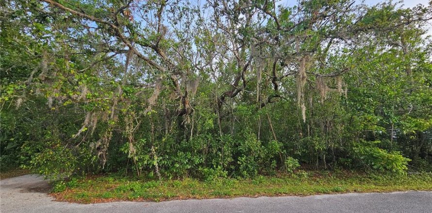 Land in New Port Richey, Florida № 2165997