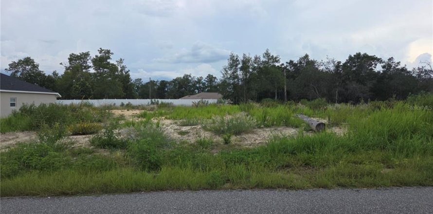 Terrain à Ocala, Floride № 2232717