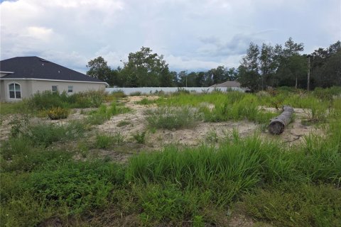 Terrain à vendre à Ocala, Floride № 2232717 - photo 2