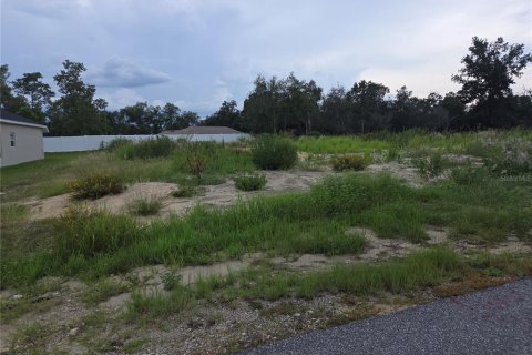 Terrain à vendre à Ocala, Floride № 2232717 - photo 3