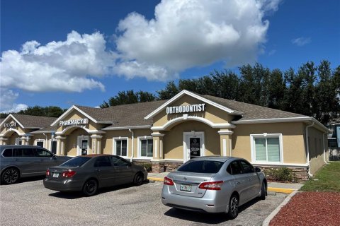 Immobilier commercial à Gibsonton, Floride 911.84 m2 № 2143920
