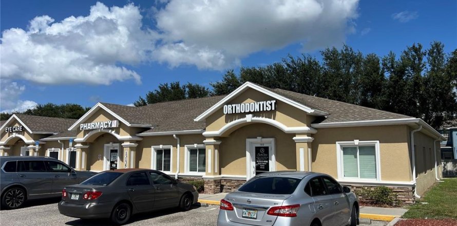 Immobilier commercial à Gibsonton, Floride 911.84 m2 № 2143920