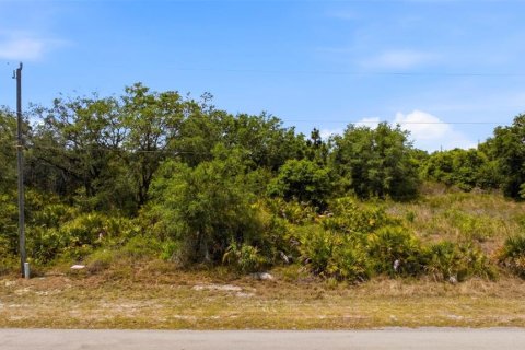 Land in Lehigh Acres, Florida № 2165107 - photo 2