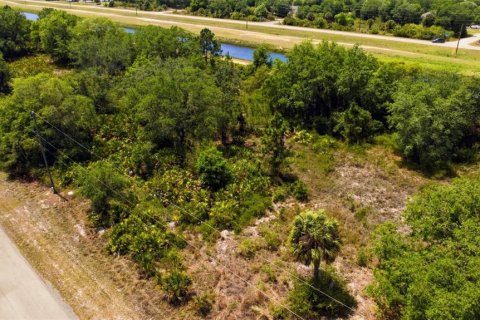 Land in Lehigh Acres, Florida № 2165107 - photo 11
