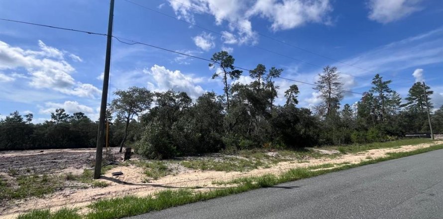Terreno en Ocala, Florida № 1841553