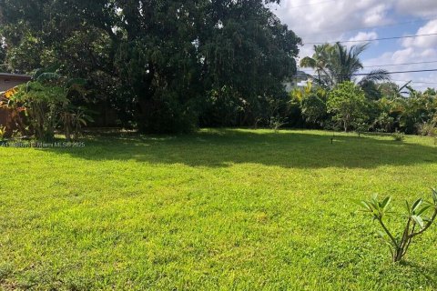 Terrain à vendre à Hollywood, Floride № 2016304 - photo 4