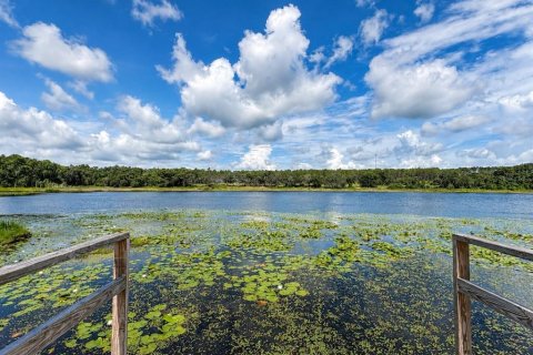 Casa en venta en Weirsdale, Florida, 3 dormitorios, 225.01 m2 № 2156654 - foto 5