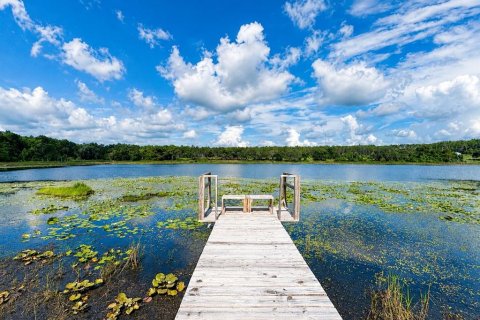 Casa en venta en Weirsdale, Florida, 3 dormitorios, 225.01 m2 № 2156654 - foto 4