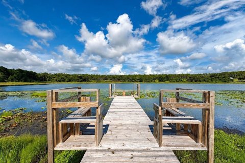 Casa en venta en Weirsdale, Florida, 3 dormitorios, 225.01 m2 № 2156654 - foto 3