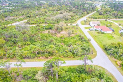 Land in Port Charlotte, Florida № 2228540 - photo 2