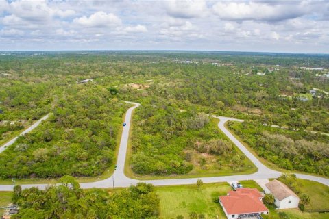 Land in Port Charlotte, Florida № 2228540 - photo 4