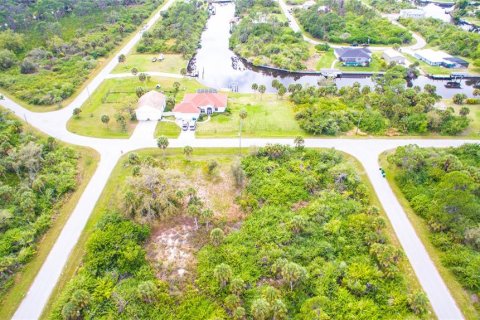 Land in Port Charlotte, Florida № 2228540 - photo 7