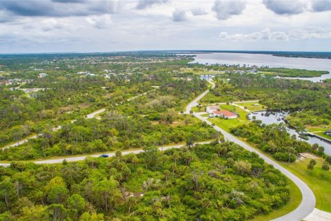 Land in Port Charlotte, Florida № 2228540 - photo 3