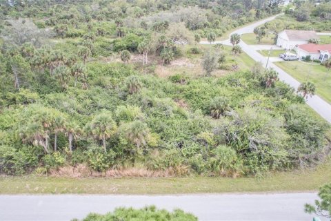 Land in Port Charlotte, Florida № 2228540 - photo 6
