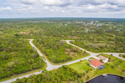 Land in Port Charlotte, Florida № 2228540 - photo 8
