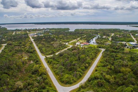 Land in Port Charlotte, Florida № 2228540 - photo 5