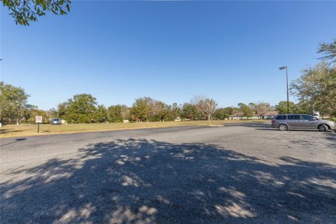 Propiedad comercial en alquiler en Mount Dora, Florida № 1553795 - foto 7